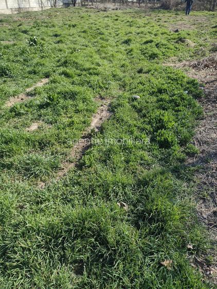 Teren intravilan Poiana - 7