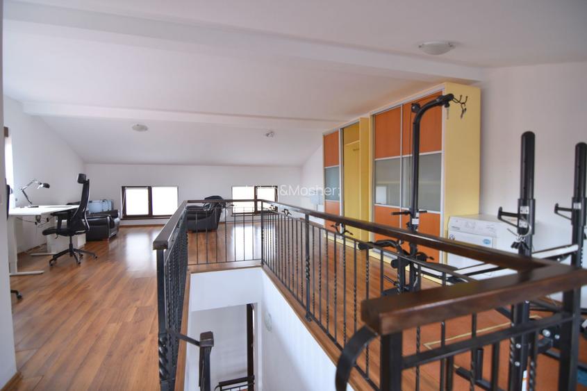 Casa de inchiriat in Mosnita Noua, pet friendly - 12