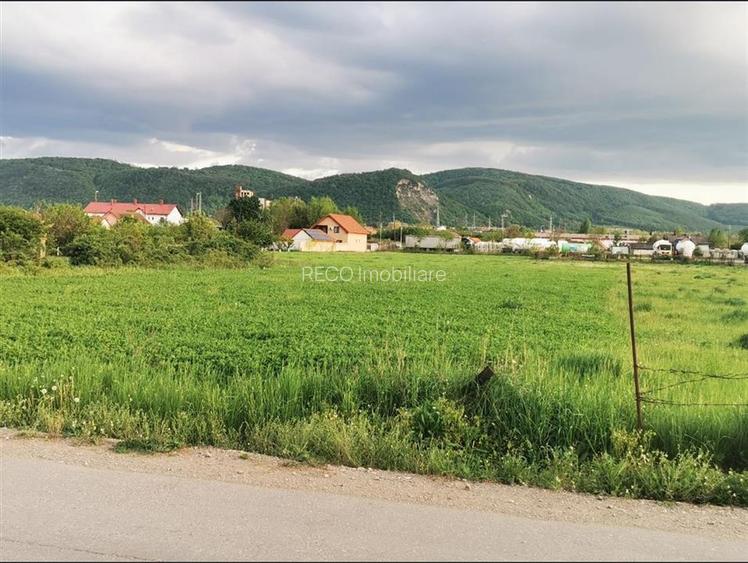 TEREN IN CHISTAG - 3