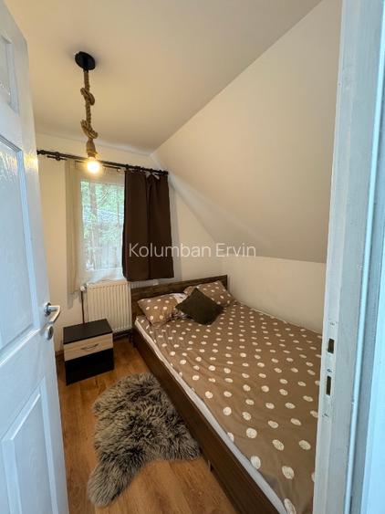 Casa de vacantā la Harghita -Sântimbru-Bāi - 7