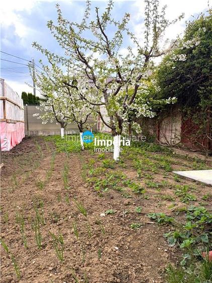 Vila 5 cam, Garaj, 450 teren, asfalt, Omenia Valea Adanca Iasi - 13