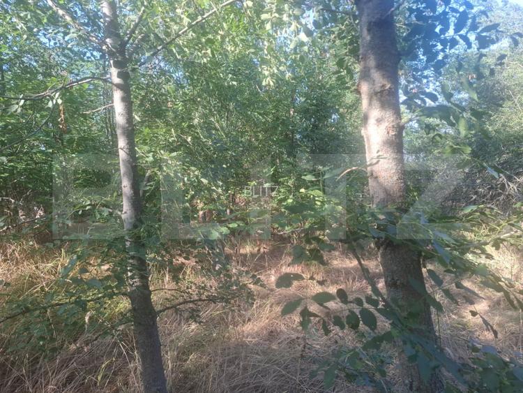 Teren extravilan de vaznare, 5000 mp, zona Matasaru - 7