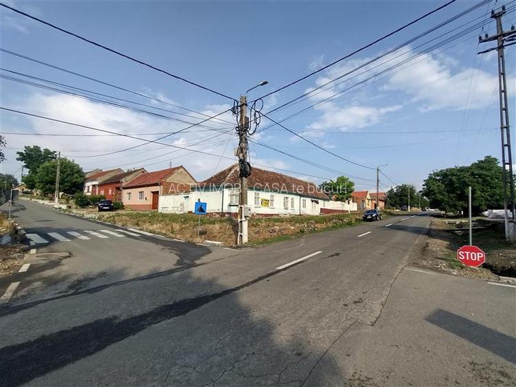 Socol | Casa 7 Camere | Parter + Pod | 546MP Teren - 4