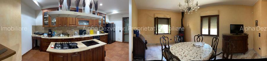 Proprietate deosebită, șos. Cernica (în apropierea mănăstirii Cernica) - 3