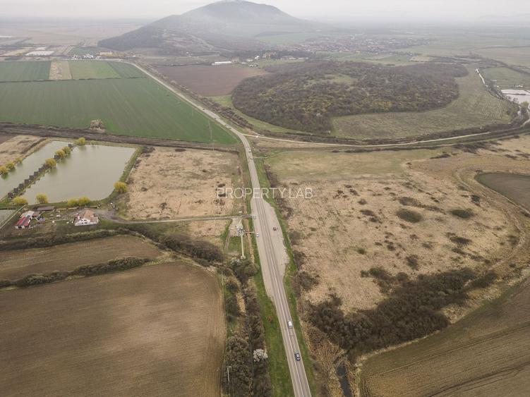 Teren extravilan in Ineu - 5