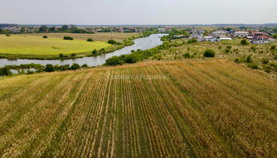 Oportunitate Investitie Teren 5.4HA  Deschidere la Lac, Padure, Paradisul Verde - 3
