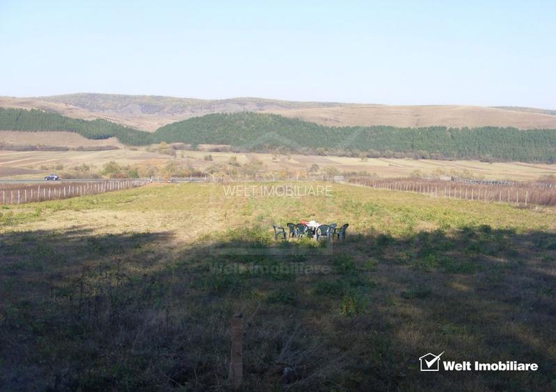 Teren 10800 mp, front 54 m in apropierea  Urbano Shopping & Living Gilau - 2