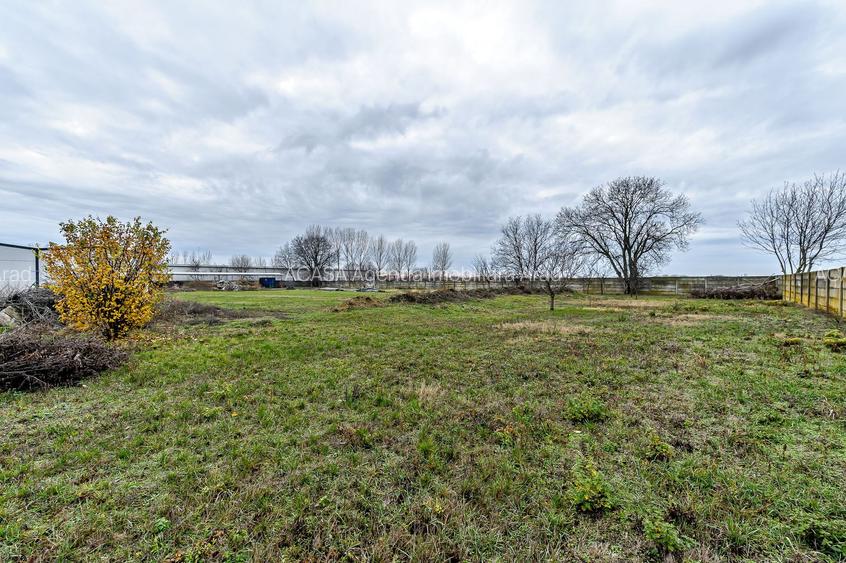 Hale depozitare/producție 2.000 mp si 10.000 mp teren în Pecica - 14