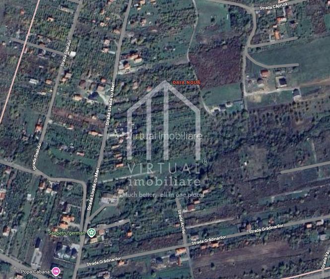 Teren intravilan de constructii - 268 mp - Daia Noua - 3