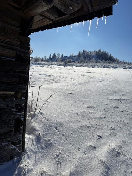 Teren satul Sirnea, intravilan, deschidere 120 m la drum asfaltat,  - 9