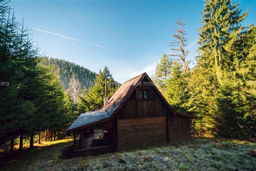 Casa de vacanta (Gheorgheni, zona Magasbukk) - 8