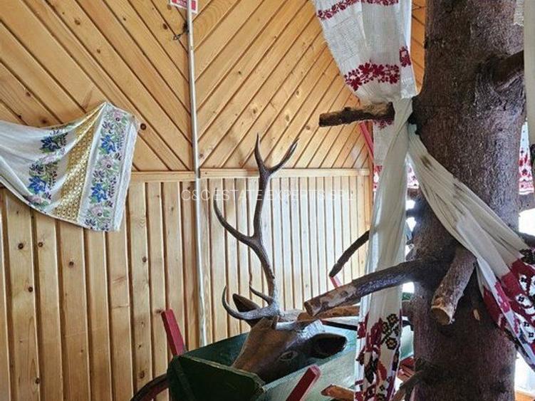 Pensiune in jud. Buzau, loc Ivanetu| Constructie lemn|Pozitionare impresionanta - 32