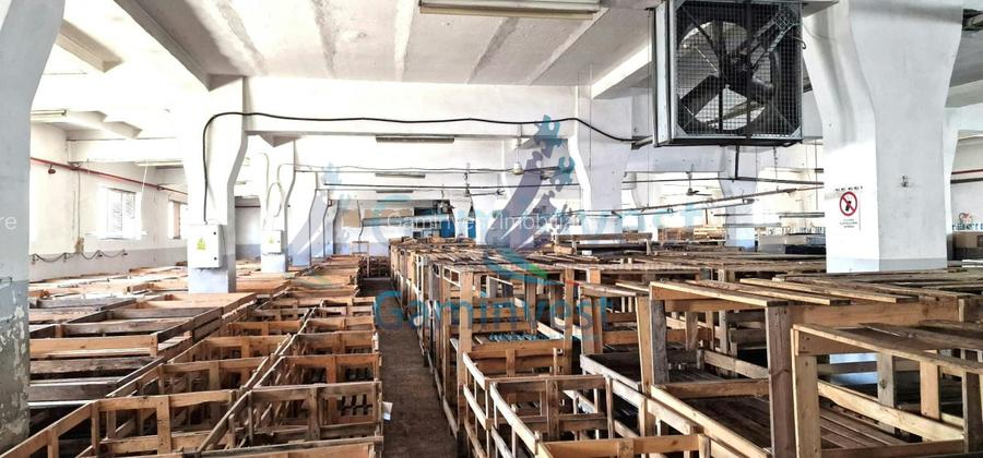 Hala de vanzare Productie Depozitare Calea Clujului Oradea - 2