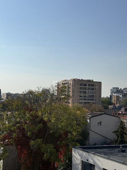 Dacia-Mosilor duplex cu vedere Sud - 2
