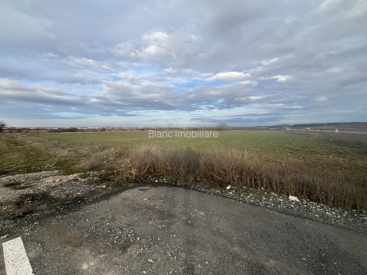 Oportunitate, 9196 mp, 30 euro/mp, 187,78 m deschidere la inelul metropolitan - 5