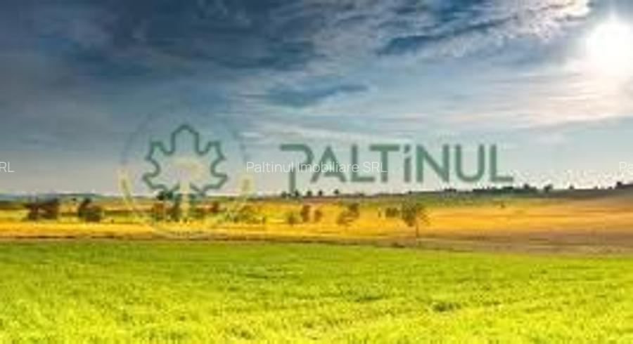 Teren de vânzare – Poplaca, Sibiu - 7