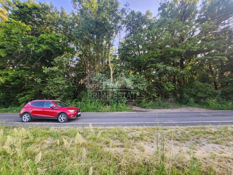 Oportunitate achizitie 2000 mp de teren intravilan - Greenfield - 2