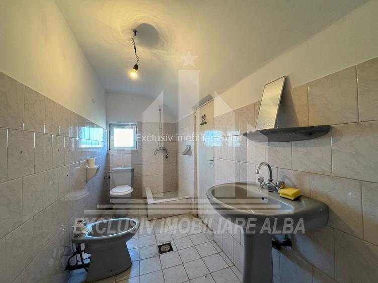 Casa individuala | De inchiriat | 320 mp | 750 mp teren | Cetate - 17