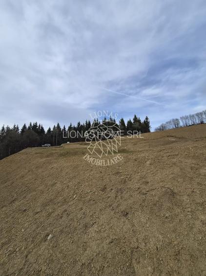 Teren extravilan 1930 mp,  5 min de centru, ideal Cabana, invetitie - 5