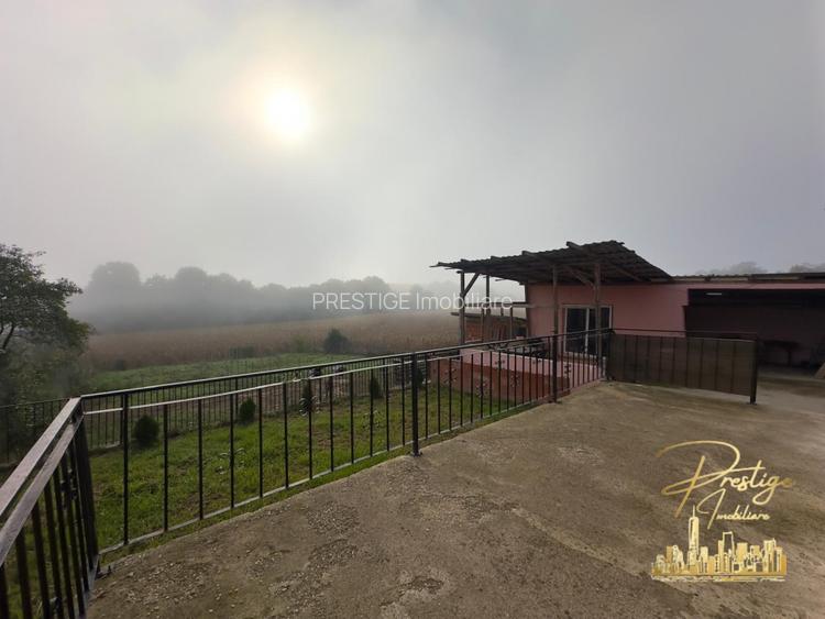 Casa cu anexe si teren de 1000 mp de vanzare in comuna Spinus-Bihor - 36