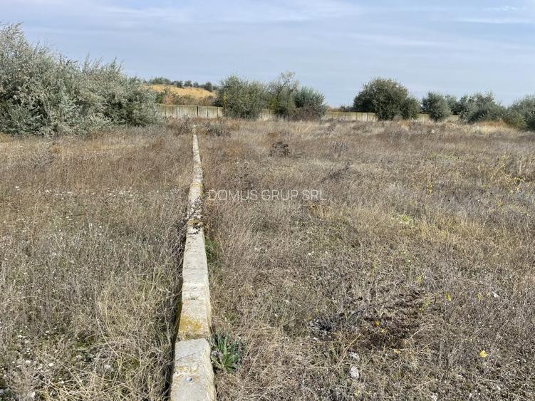 Ovidiu 6 ha teren intravilan construibil îngrădit și platforma betonata. - 18