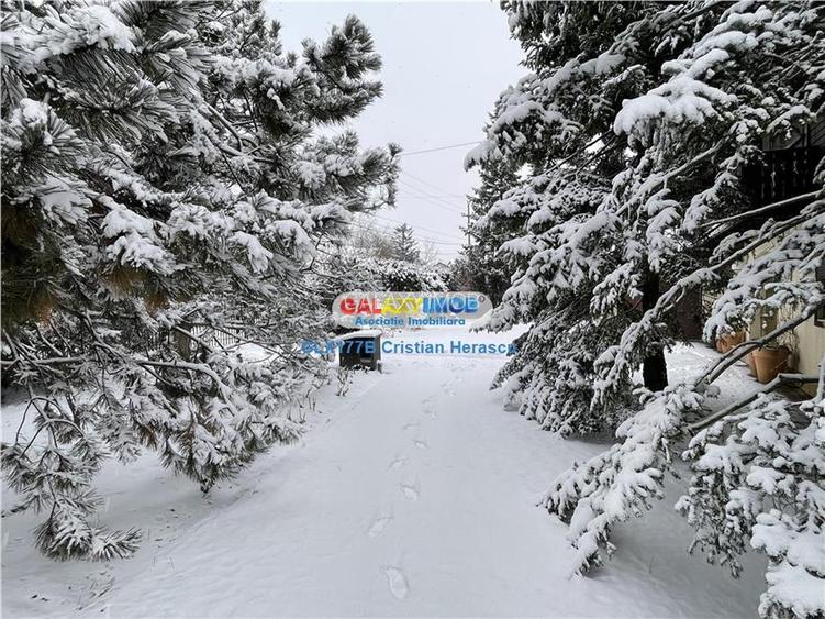 Otopeni Ana Aslan Str Valea Pasarii P+1 SU 340 mp teren 1500 mp - 5