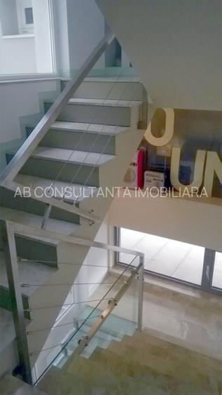 Zona Domenii - Casin vila 6 camere - 5