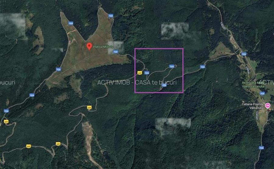 Teren 7 ha, Lac Vidraru, Podis Molivis - 6