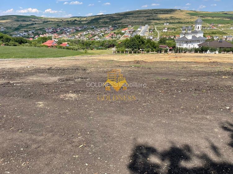 Terenuri de vanzare, Parcelabil, Valea Chintaului, Zona Beta Residence - 9