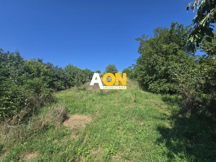 Comision 0%! Casa 3 camere Gura Ariesului, 1500mp Teren - 11