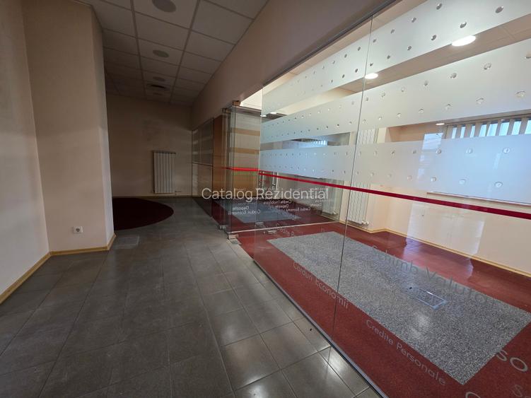 Spatiu comercial de inchiriat in Snagov - 10