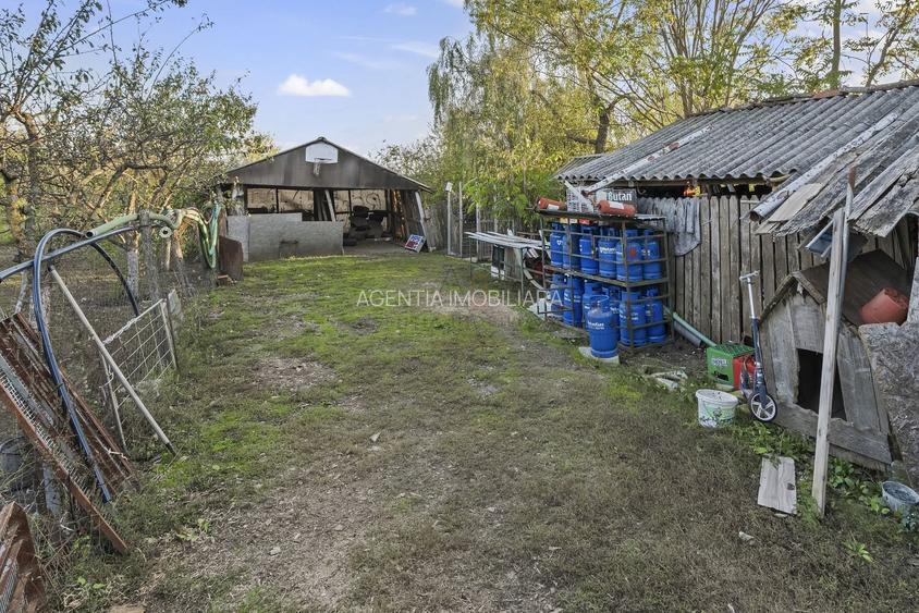 Comision 0% 2 case Vila + Spatiu Comercial + Curte Proprie - 33