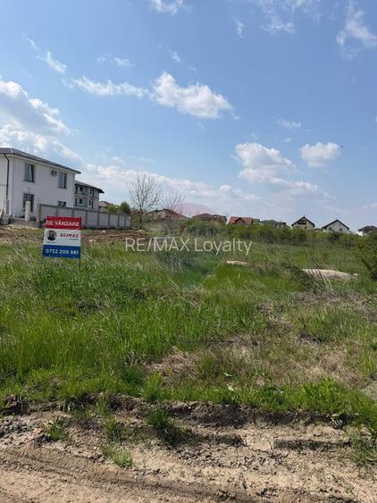 Teren 2,500mp Otopeni / Drumul Viilor - 3