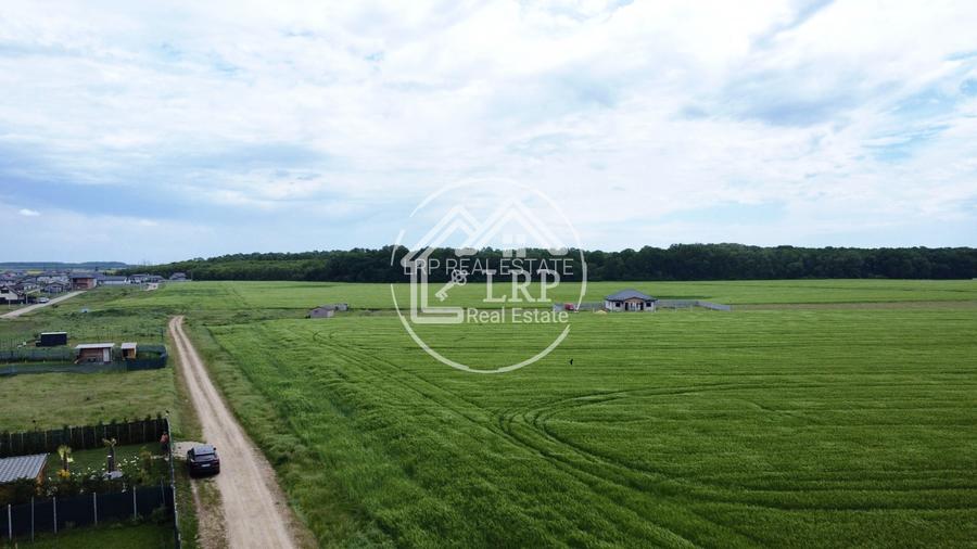 OPORTUNITATE INVESTIȚIE:Teren intravilan 25.000mp Dascălu-Pădure, parcelabil - 10