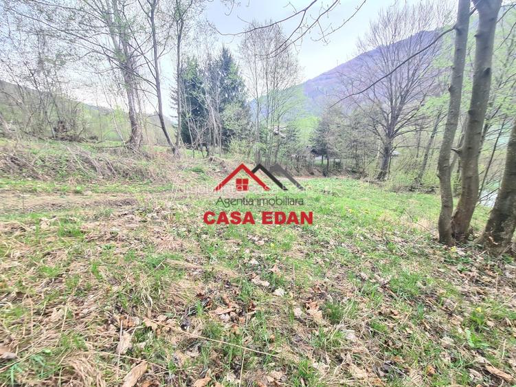 Teren intravilan in Valea Doftanei cu iesire la Parajul Paltinu--1000 mp--120e - 6