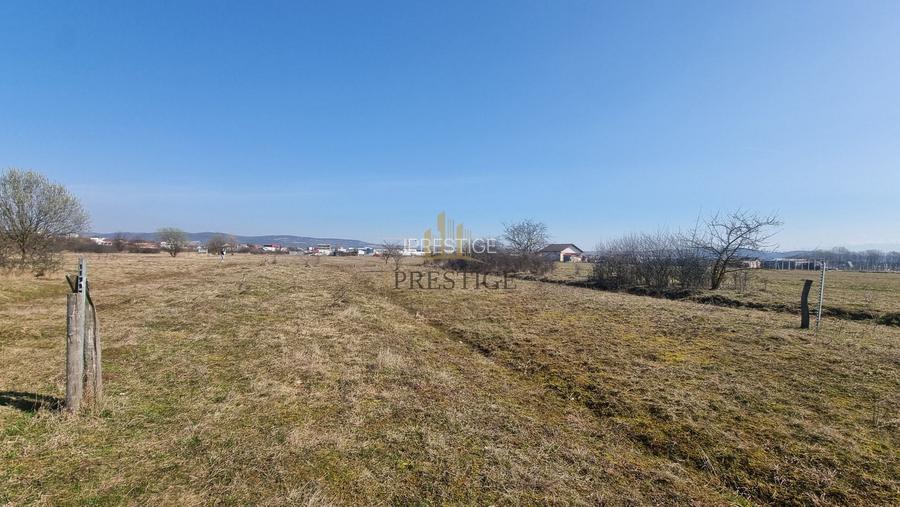 FĂRĂ COMISION | TEREN 1000 MP ȘELIMBĂR ZONA TROIȚĂ | INVESTIȚIE - 9