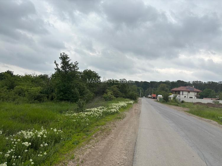 Terenul dintre 2 lacuri – 1000 mp în Mogoșoaia, la 5 minute de pădure - 2