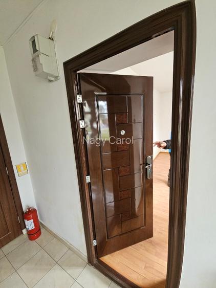 Apartament excelent pt CASA DE AMANET , SCHIMB VALUTAR , birouri - 3