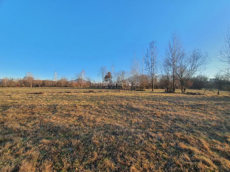 Teren intravilan Bran – Sohodol zona de case - 9