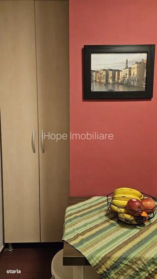 Tineretului-Trestiana-Apartament de 3 camere - 15