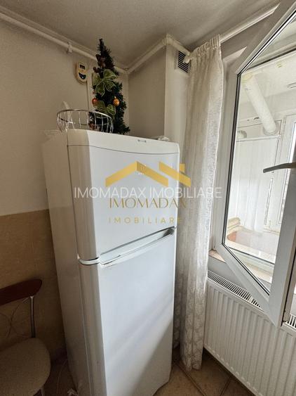 Sagului-2 Camere-Mobilat/aUtilat - 16