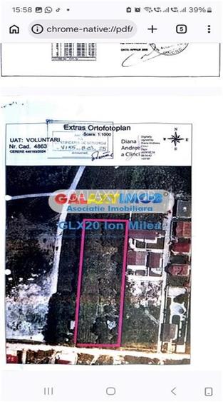 Teren 6000 mp Pipera Potcoavei - 4