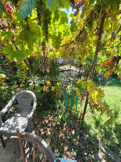 Crangasi, Lacul Morii, casa individuala 230 mp utili, 510 mp teren - 34