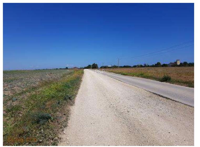 Teren  agricol extravilan 12.500 mp-- Comuna Corbu - jud. Constanta - 3