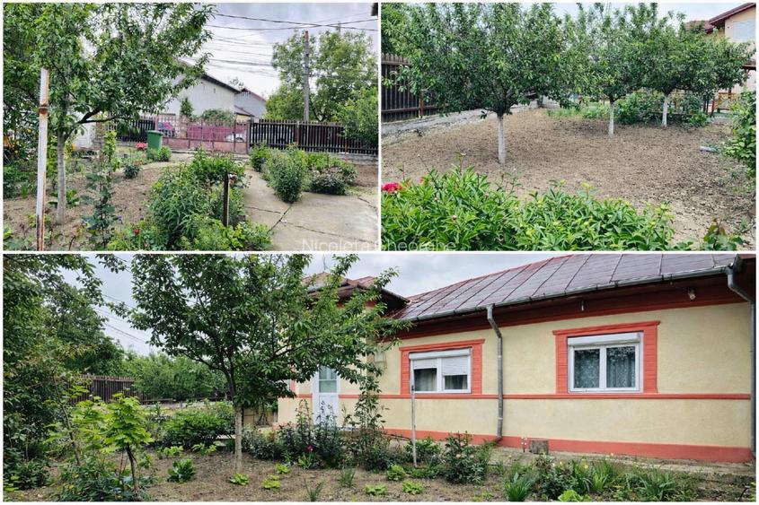 Casa + curte generoasa de inchiriat Saftica, DN1, Balotesti-Ilfov - 5