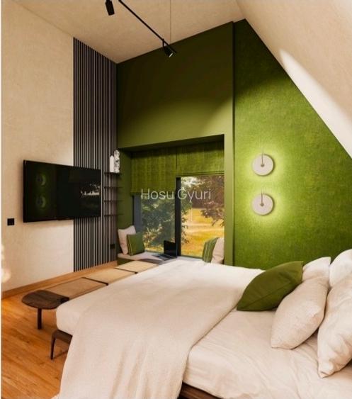 Proiect resort premium lângă Sovata - Campu Cetatii (teren+ 16 vile+ restaurant) - 15
