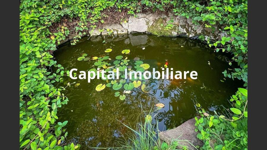 Casa la cheie ,confort si eleganta. - 28