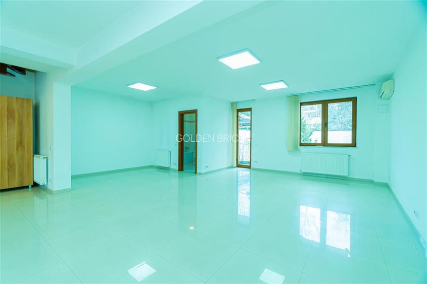 Piata Victoriei | Parter si etaj in vila | Garaj | 160mp - 12