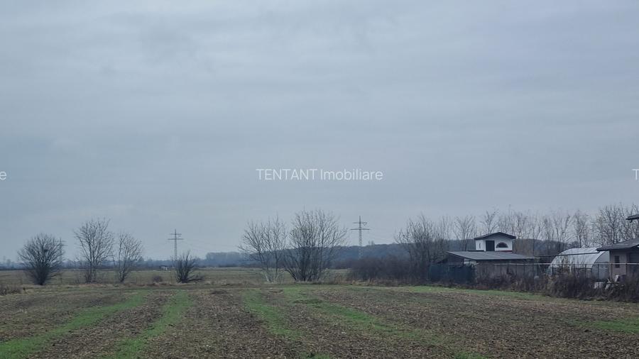 Vanzare Teren Rezidential 1 Decembrie Ilfov 500mp - 11