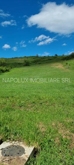 Teren zona com. Sanpaul, jud. Cluj - 3